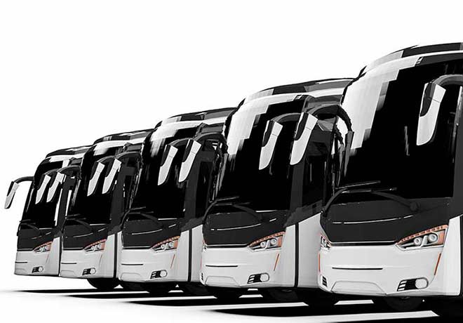 fleet of tranit buses